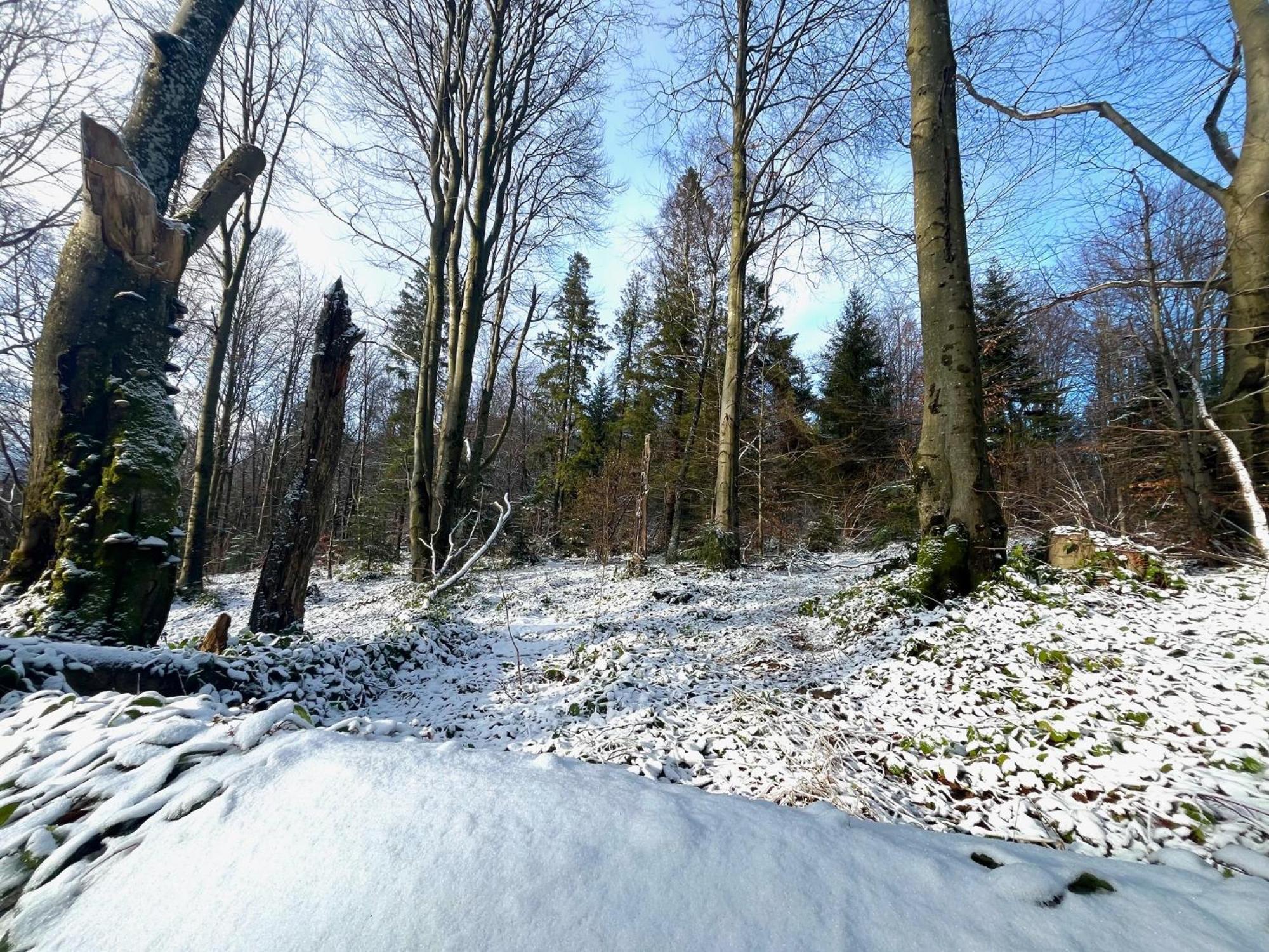 Domki Caloroczne Domkowstwo Bobrka Zewnętrze zdjęcie