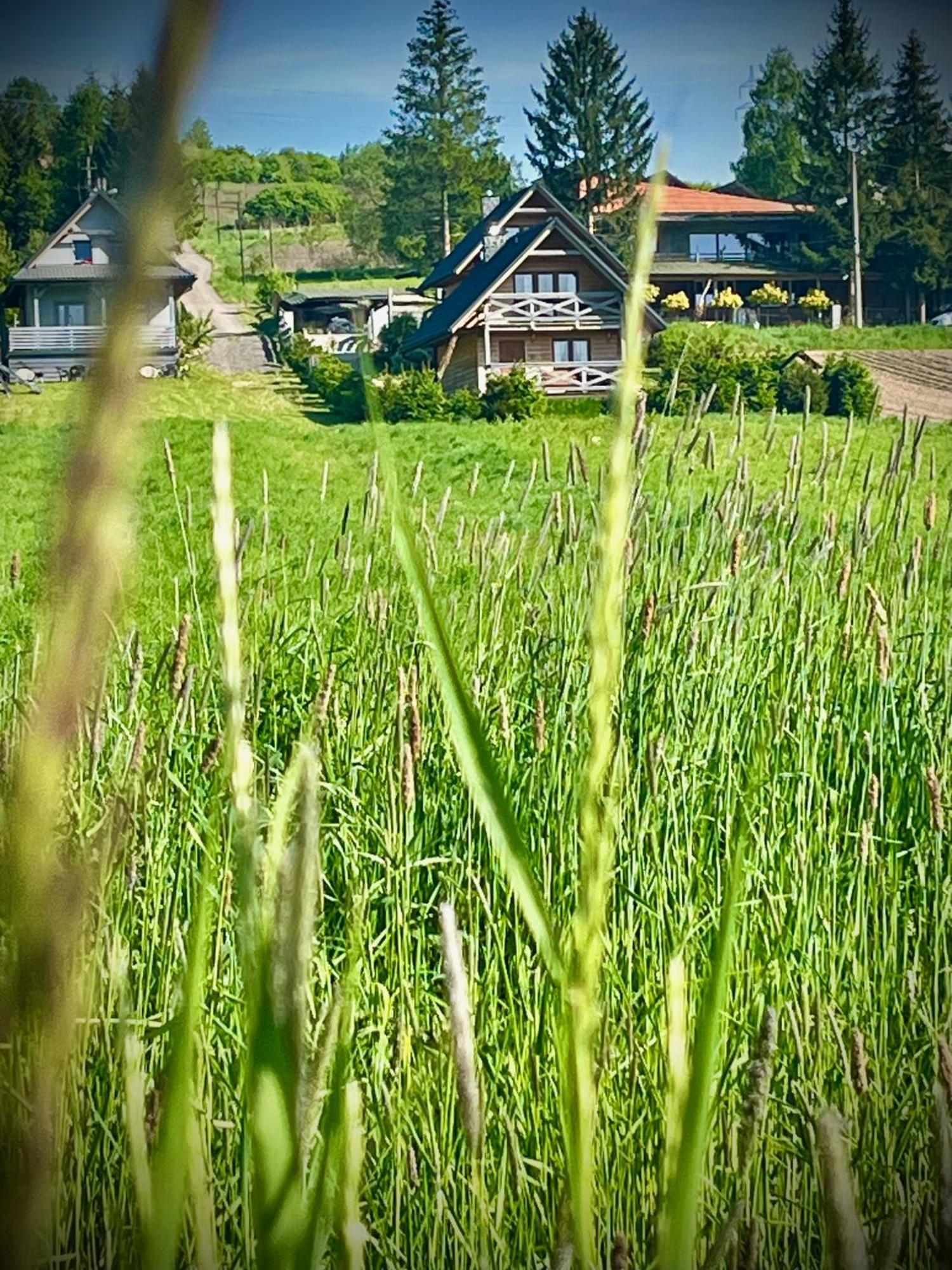 Domki Caloroczne Domkowstwo Bobrka Zewnętrze zdjęcie